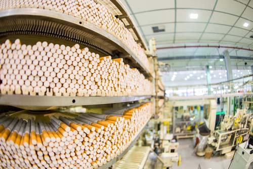  Swiss say ‘cheese’ to tobacco