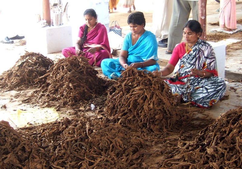  Tobacco losing out in India