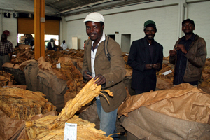  Higher quality, lower volumes in Zim