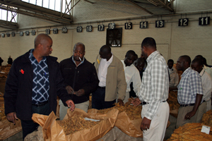  Seed sales plunge in Zimbabwe