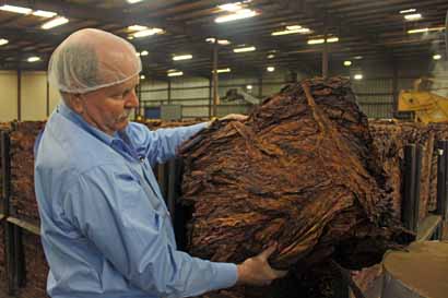  Leaf Exporters Welcome Trade Deal