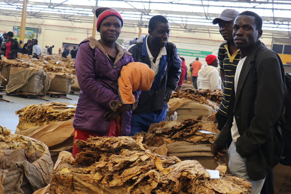  Zimbabwe: New System to Pay Farmers Quickly