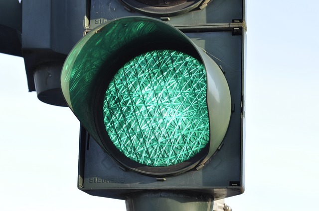  Green light for golden leaf