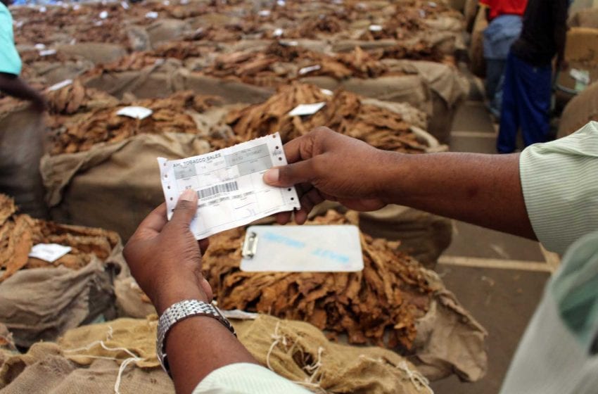  Pandemic Takes Toll on Malawi Leaf Earnings