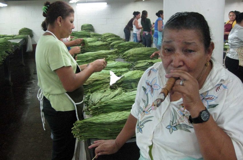  Honduras Orders Cigar Factories to Close