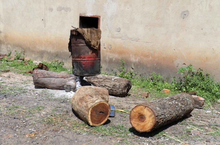  Forestry Officials Sound Alarm in Zimbabwe