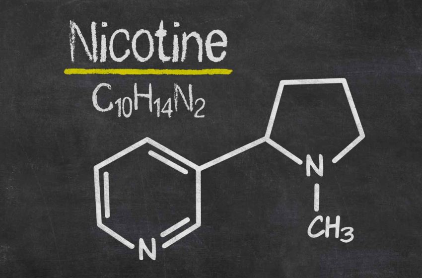  Australian Patent for NGL’s Synthetic Nicotine