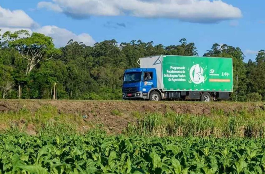  Brazil Recyling Tobacco Pesticide Containers