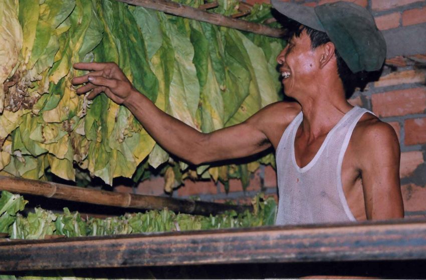  Vietnam Sets Import Quotas for Cambodian Tobacco