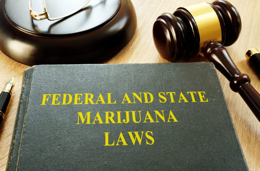  Marijuana Legalization Bill Back in Senate