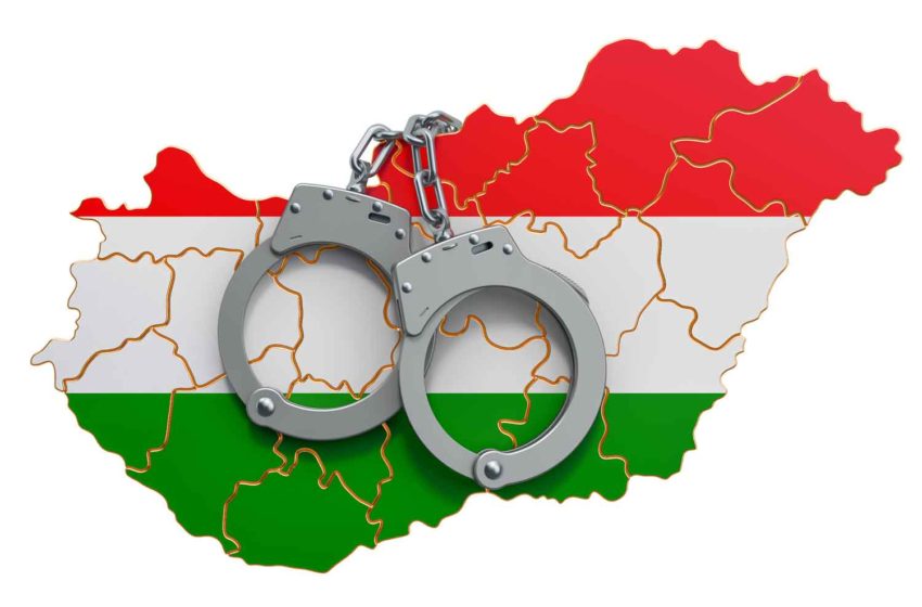  Hungarian Economy Hit by Illegal Trade