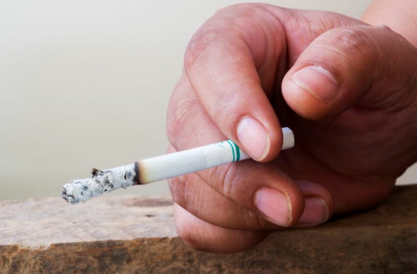  WHO: Tobacco Use Continues to Decline