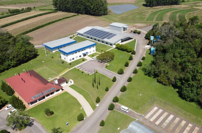  AOI Brazil Invests in Seed Production