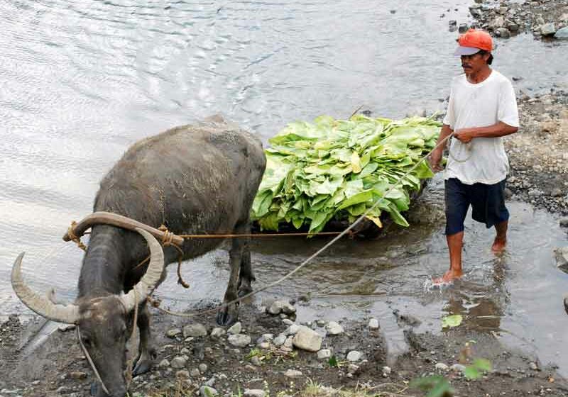  Philippines to Step Up Anti-Smuggling Fight