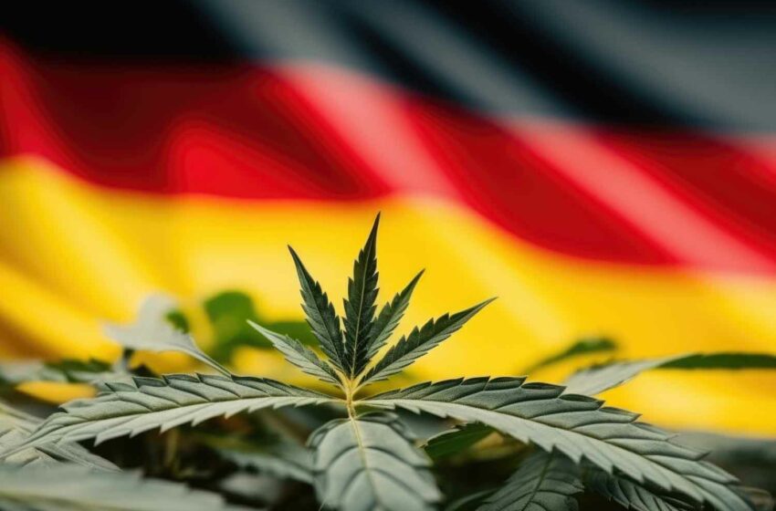  Germany Legalizes Recreational Marijuana