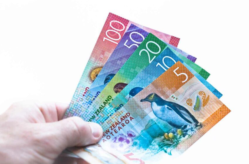  New Zealand Halves HTP Taxes