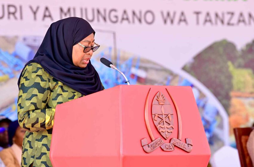  Tanzania President Lays First Stone for Factory